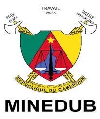 minedub cameroun